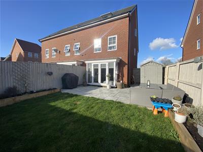 Picture 19